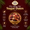 Sugai Dates - Thumbnail Image 3