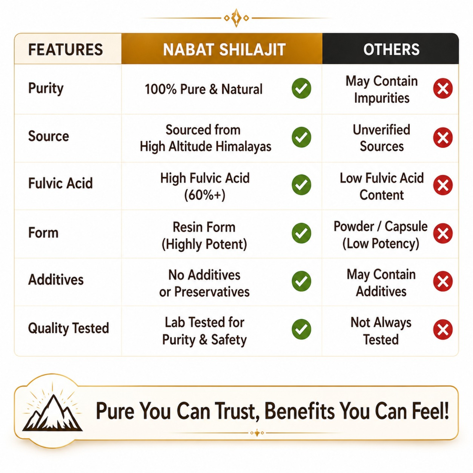 Nabat Shilajit (6)